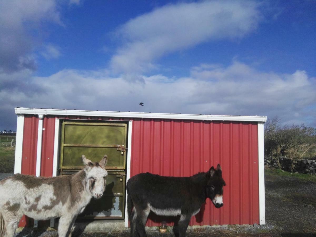 The Wild Atlantic Way Barn Villa Oranmore Buitenkant foto